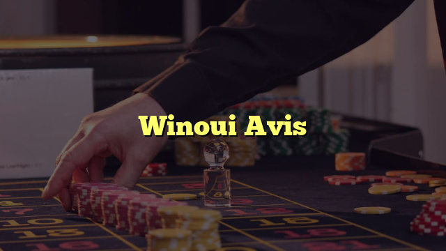 Winoui Avis